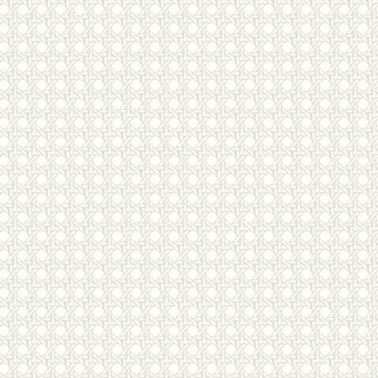 Cuba Paja Vinyl Wallpaper - Blanc White - Last 6 Rolls