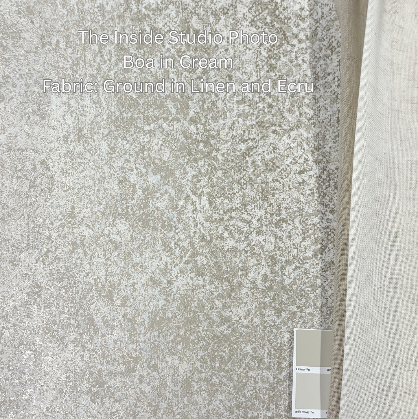 Boa Wallpaper - Cream