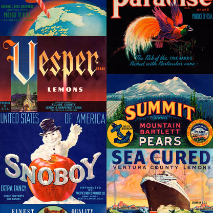 Crate Labels Wallpaper  by Mr & Mrs Vintage Wallpaper - People & Animal Crate Labels