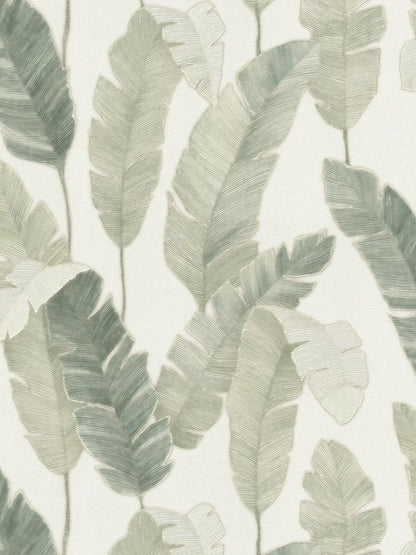 Bali Fronds Vinyl Wallpaper - Green