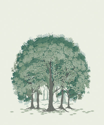 Beech Forest - Custom Sized Wallpaper Mural (per m2) - Green Shades