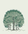 Beech Forest - Custom Sized Wallpaper Mural (per m2) - Green Shades
