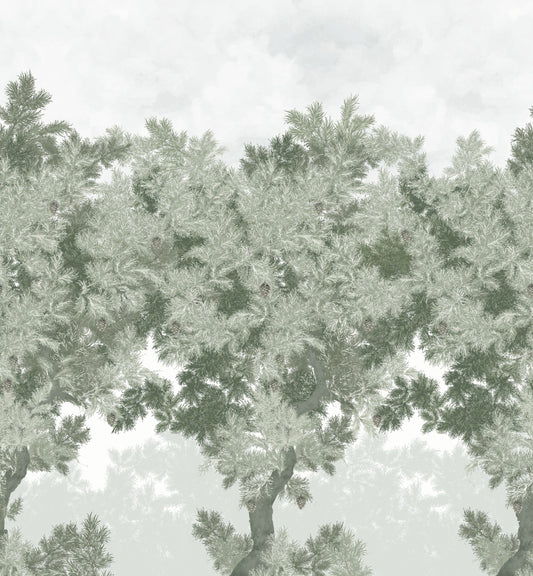 Scent of Pines - Custom Sized Wallpaper Mural (per m2) - Grey Green