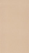 Mini Chevron Wallpaper - Metallise Beige - 17 Rolls Left
