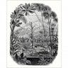 Panoramique Jordin D'Hiver Wallpanel - Black and White