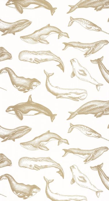 Whale Done Wallpaper - White