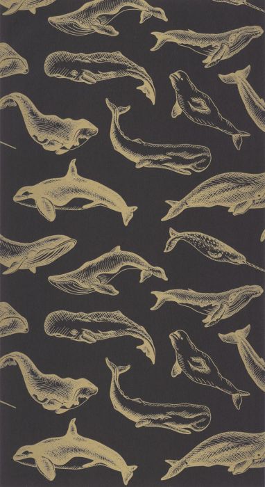 Whale Done Wallpaper - 6 Rolls Left