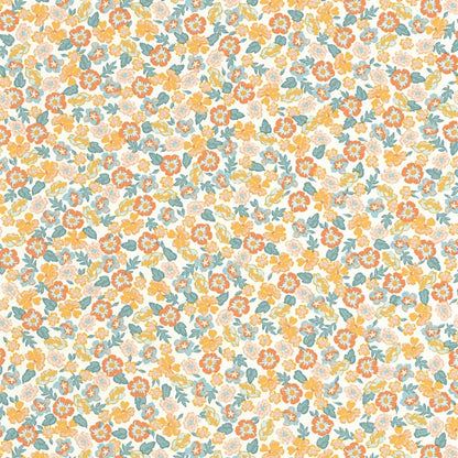 Funny Wallpaper - Multicouleurs