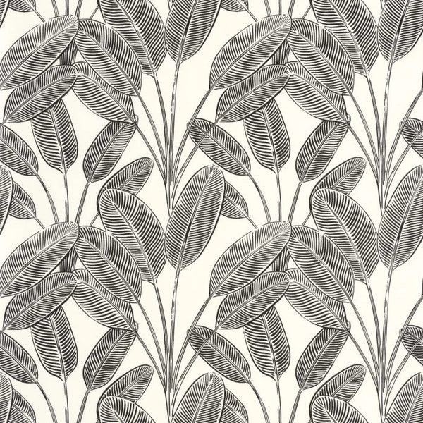 Sample - Little Banana Wallpaper - Blanc Noir