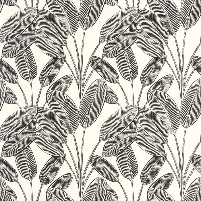 Sample - Little Banana Wallpaper - Blanc Noir