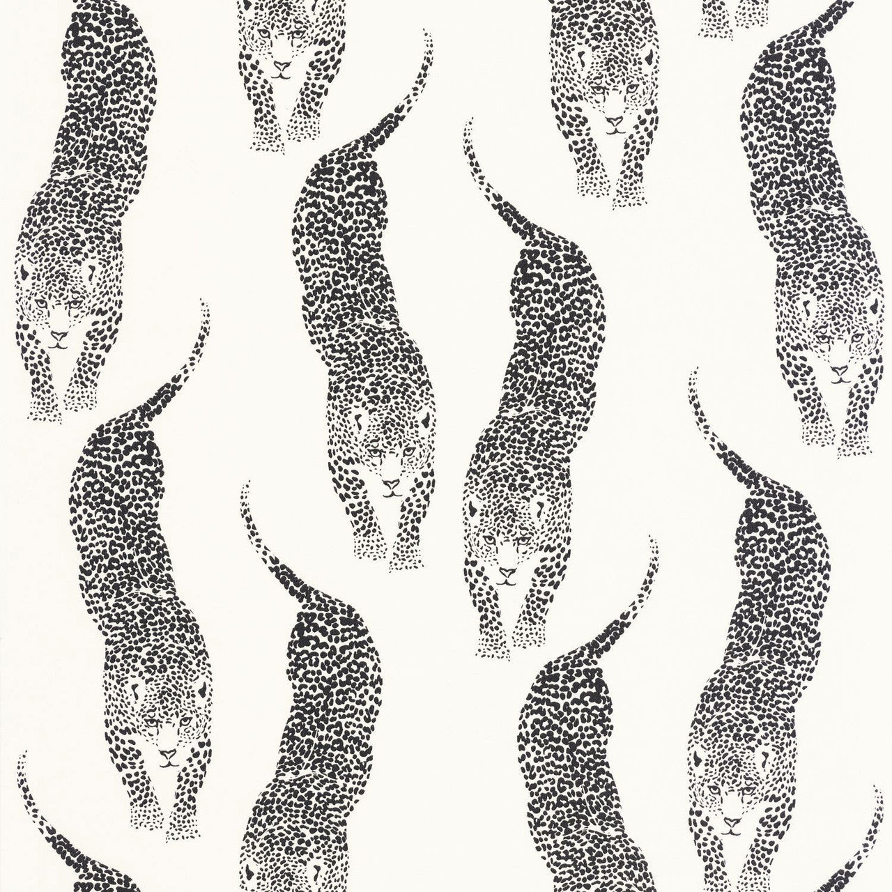 Panthera Wallpaper - Black/White