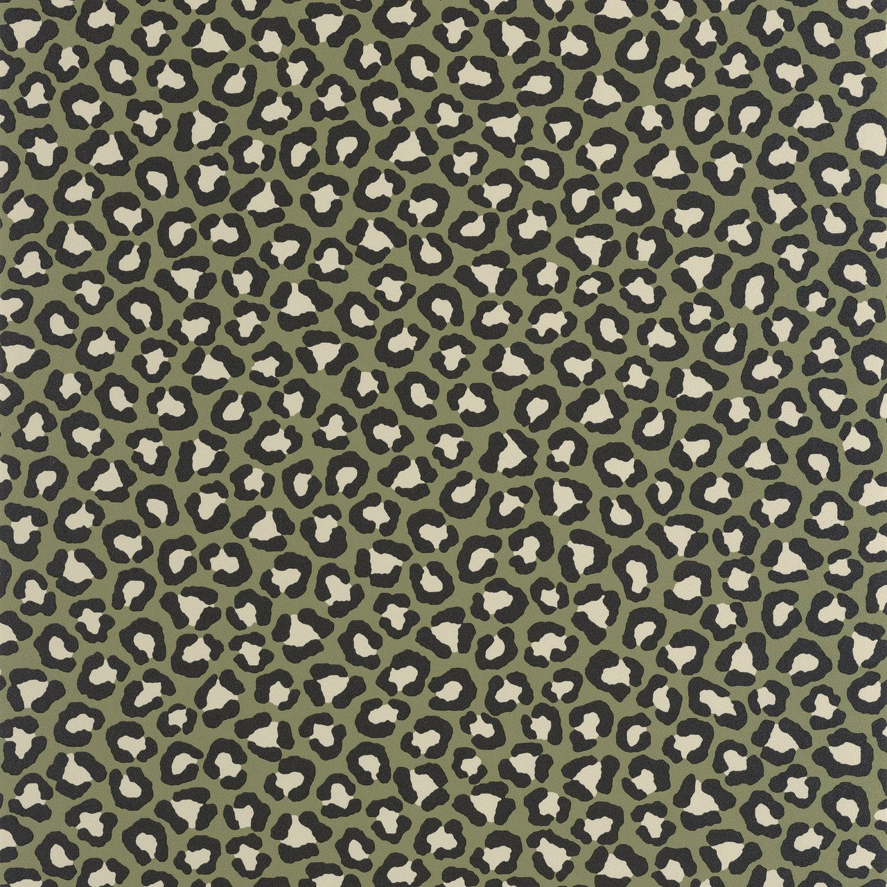 Sumatra Wallpaper - Kaki