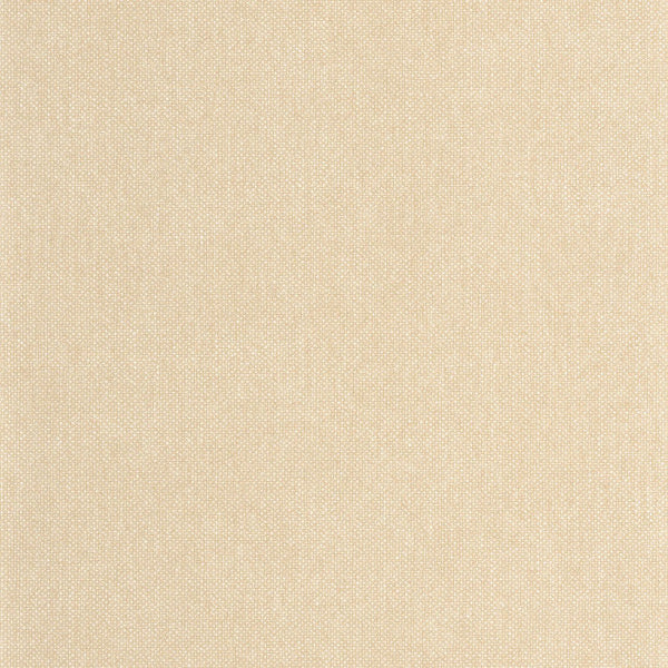 Sample - Uni Mat Wallpaper - Camomille