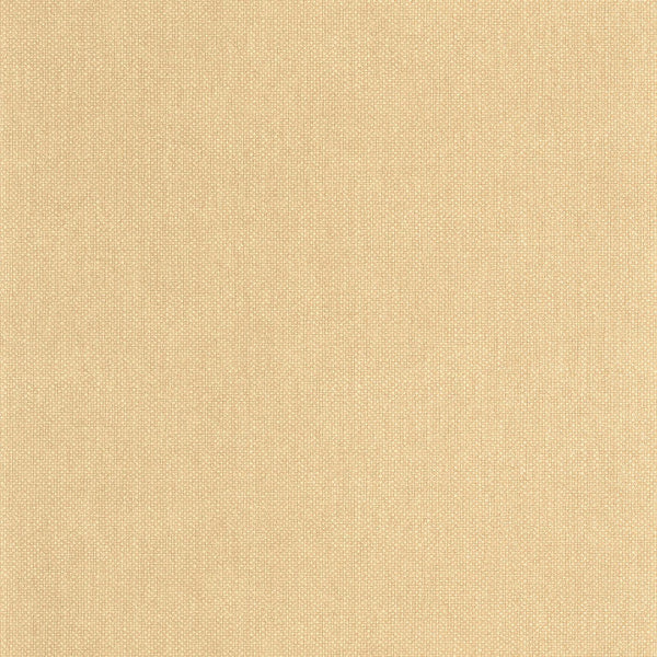 Sample - Uni Mat Wallpaper - Jaune