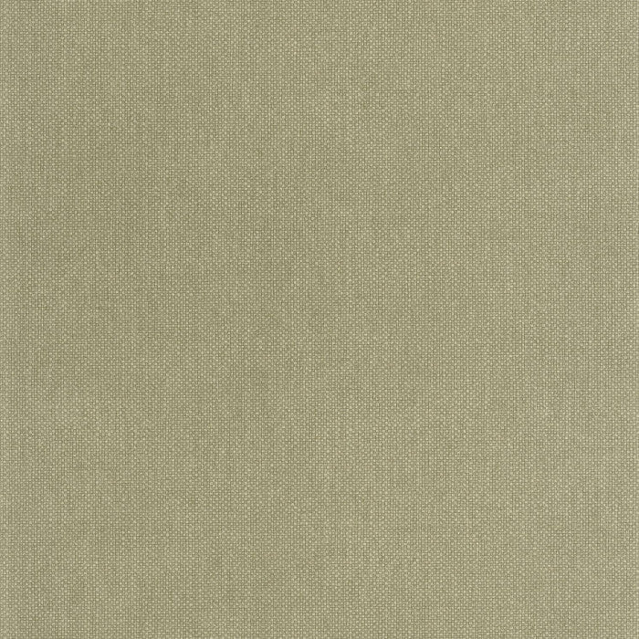 Sample - Uni Mat Wallpaper - Vert Militaire