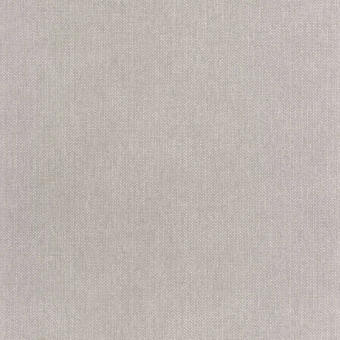 Sample - Uni Mat Wallpaper - Gris Cendre