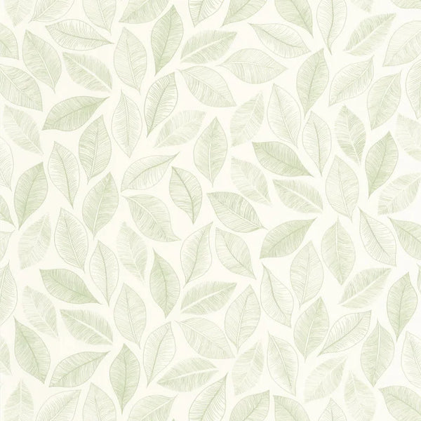 Sample - Bliss Wallpaper - Blanc vert mousse