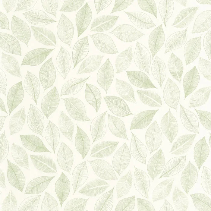 Sample - Bliss Wallpaper - Blanc vert mousse