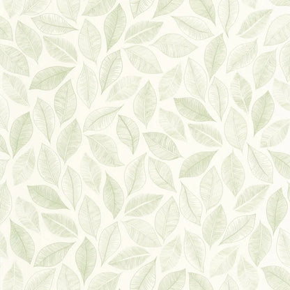 Bliss Wallpaper - Blanc vert mousse