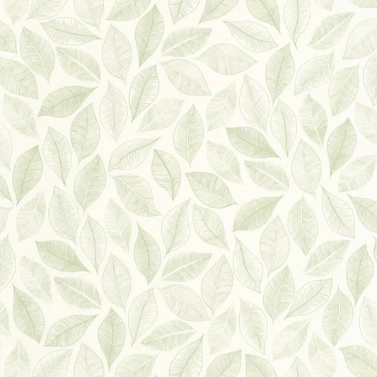 Bliss Wallpaper - Blanc vert mousse