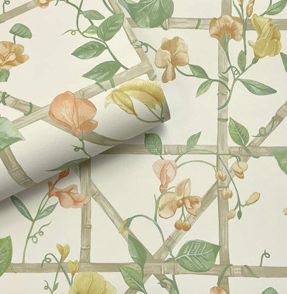 Trailing Floral Trellis Wallpaper - Orange Cream