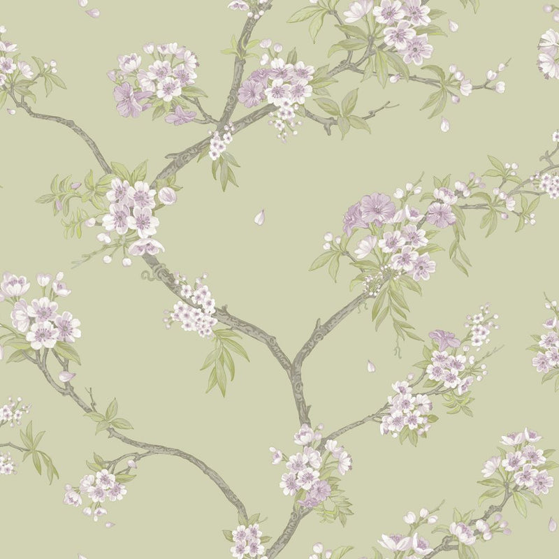 Sample - Cherry Blossom - Wallpaper - Sage Heather
