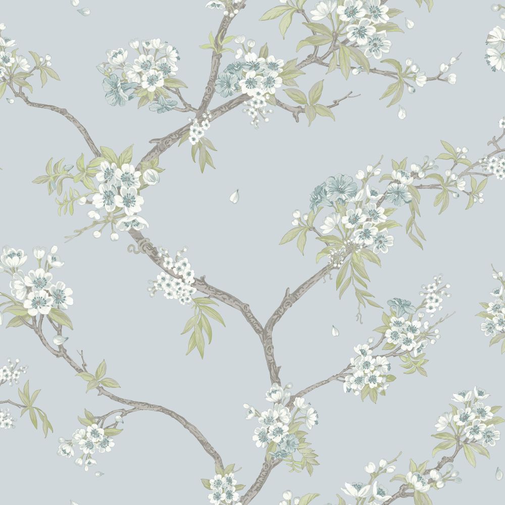 Cherry Blossom Wallpaper - Blue