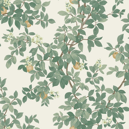 Orange Tree - Wallpaper - Cream Green