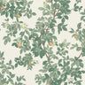 Orange Tree - Wallpaper - Cream Green