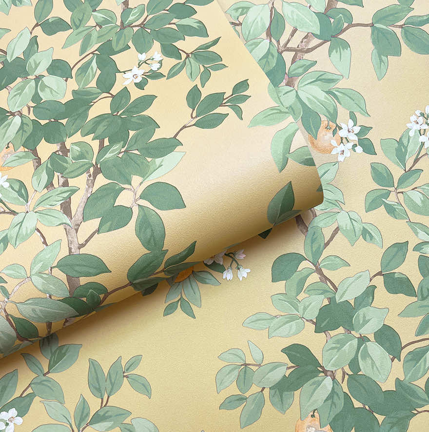 Orange Tree - Wallpaper - Ochre