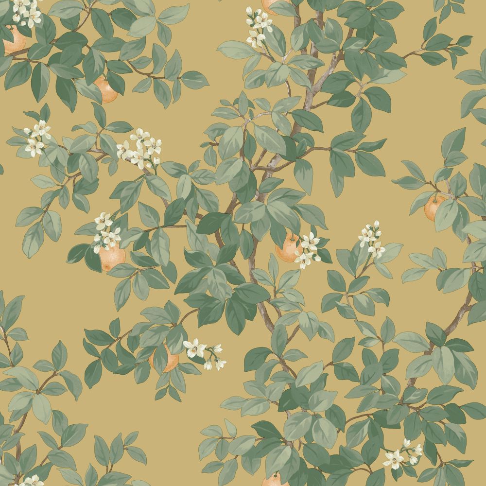 Orange Tree - Wallpaper - Ochre