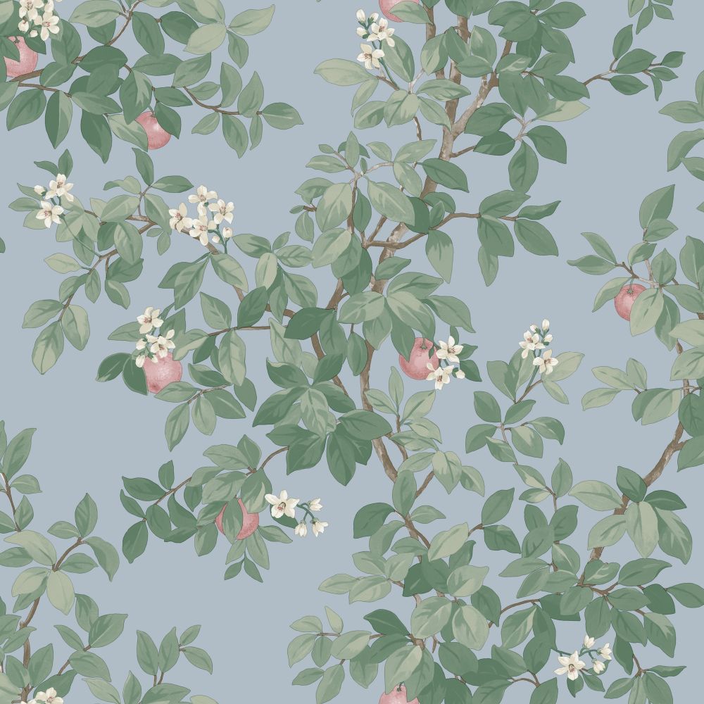 Orange Tree - Wallpaper - Sky Blue