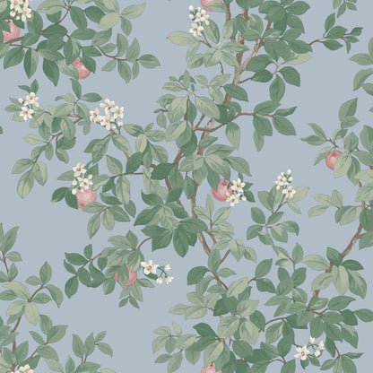 Orange Tree - Wallpaper - Sky Blue