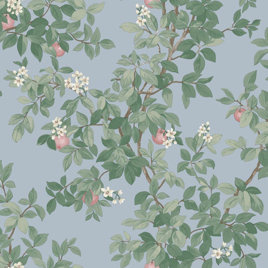 Orange Tree - Wallpaper - Sky Blue