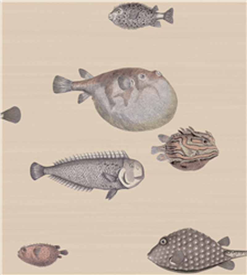 Acquario Fish Wallpaper - 5 Colours