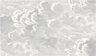 Nuvolette Wallpaper (2-Roll Set) - Cole & Son - Soot/Snow