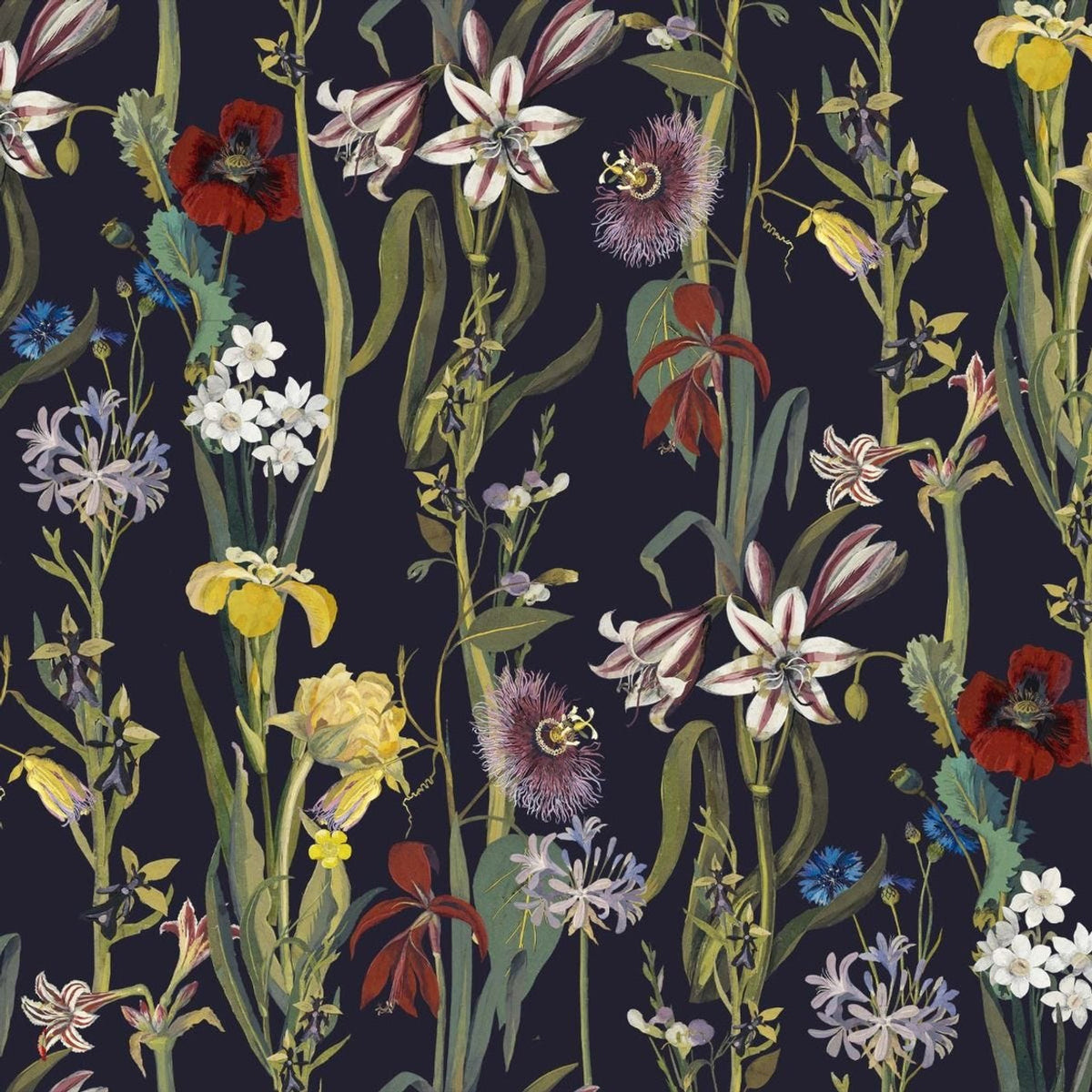 Flora Delanica Hybrid Mural Wallpaper - House of Hackney