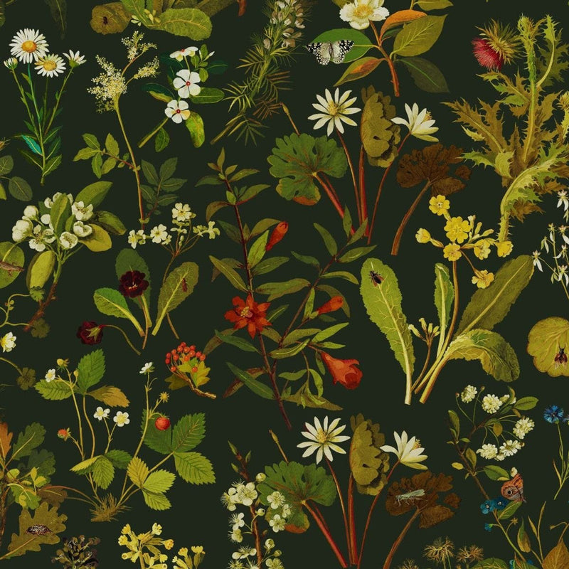 Herbarium Hybrid Mural Wallpaper - House of Hackney - Forest Green