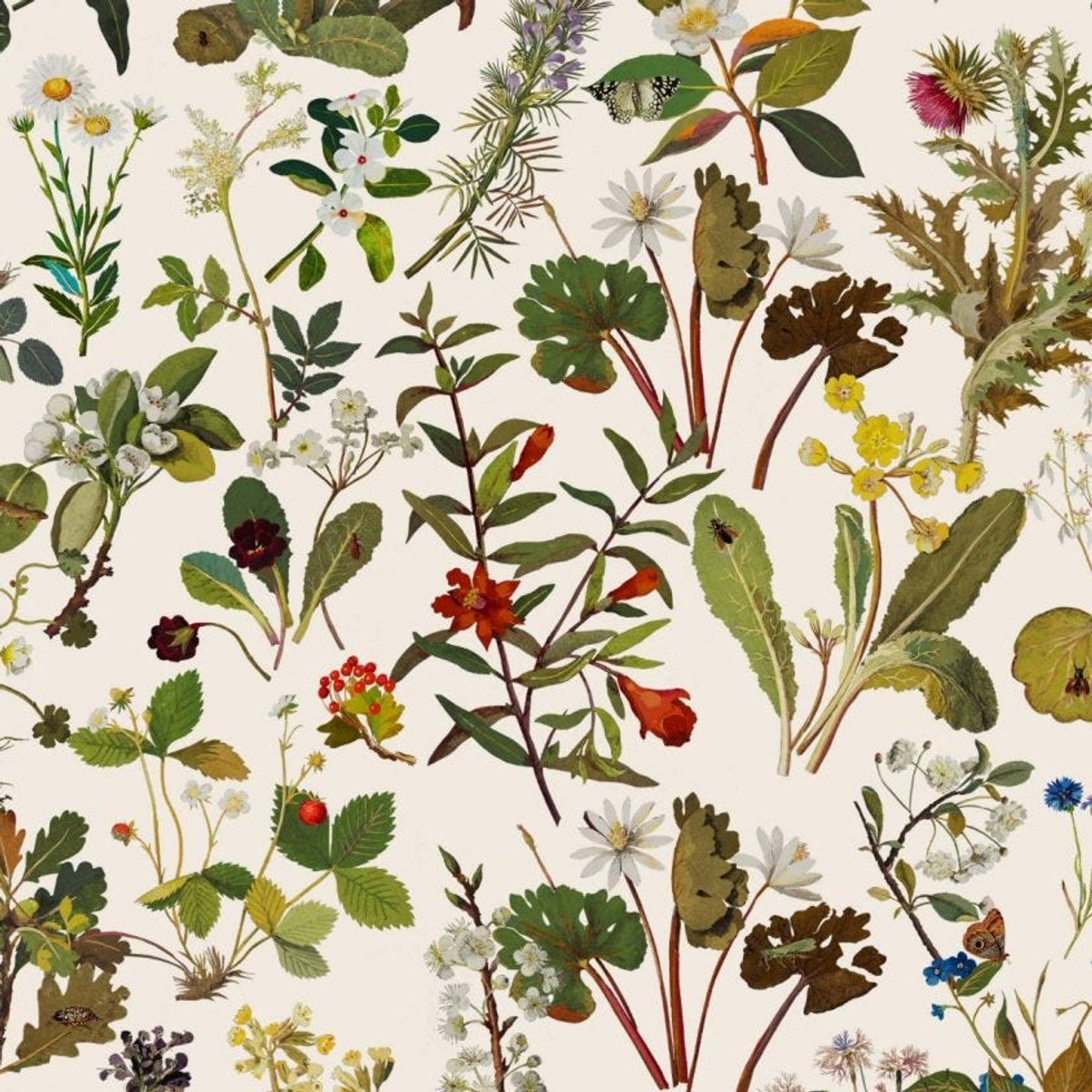 Herbarium Hybrid Mural Wallpaper - House of Hackney - Ecru