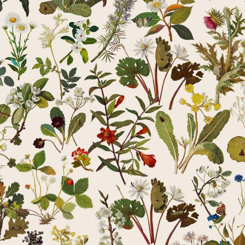 Herbarium Hybrid Mural Wallpaper - House of Hackney - Ecru