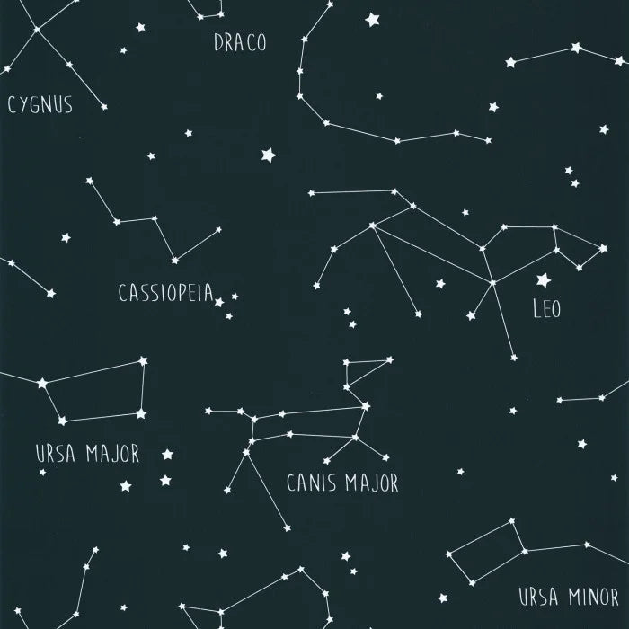 Sample - Our Planet Constellations Wallpaper