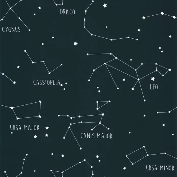 Sample - Our Planet Constellations Wallpaper