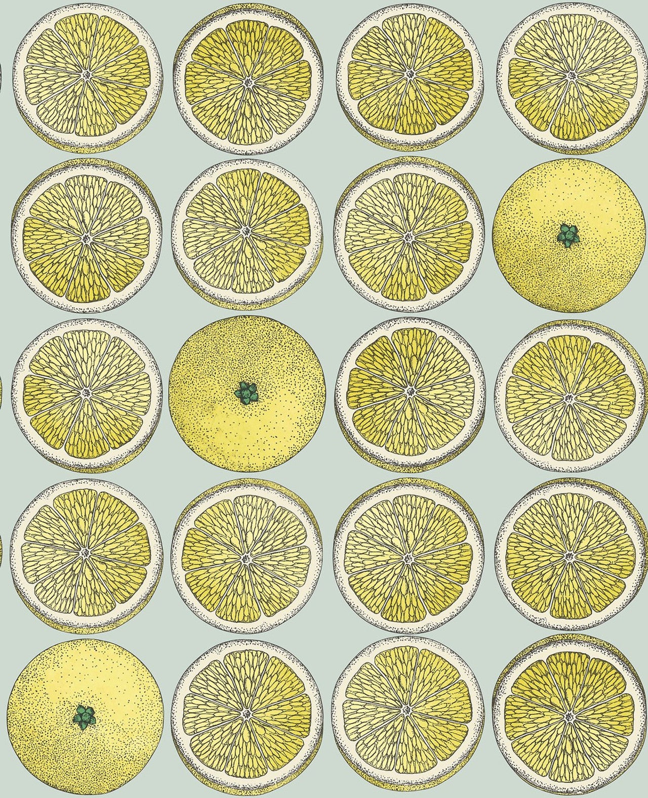 Arance Citrus Wallpaper - Citrus