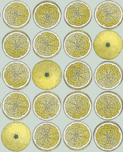 Arance Citrus Wallpaper - Citrus
