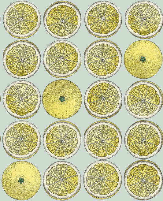 Arance Citrus Wallpaper - Citrus