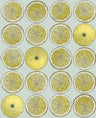 Arance Citrus Wallpaper - Citrus