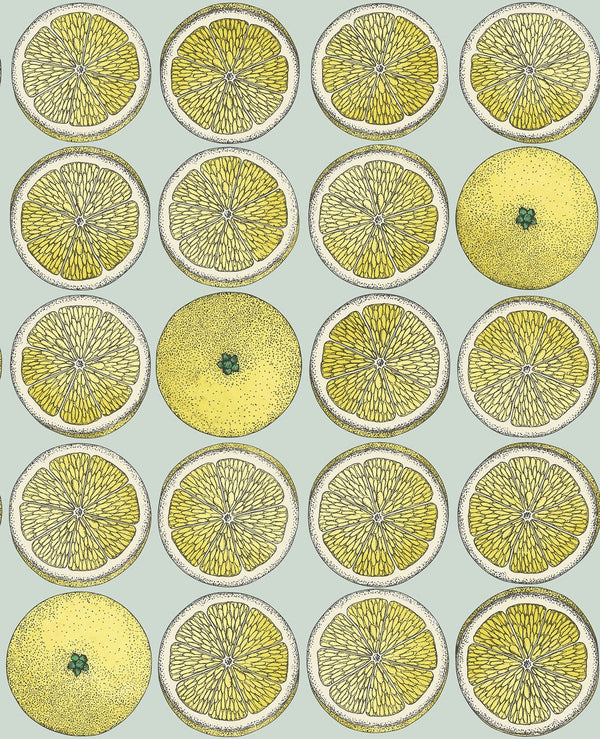 Sample - Arance Citrus Wallpaper - Citrus
