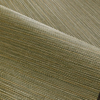 Zostera Seagrass Wallpaper - Army