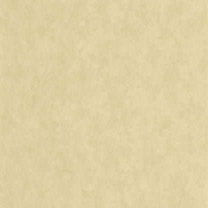 VALLAURIS Plain Wallpaper - Argile