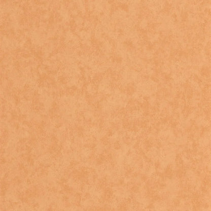 Ramatuelle Wallpaper - Apricot + Sable